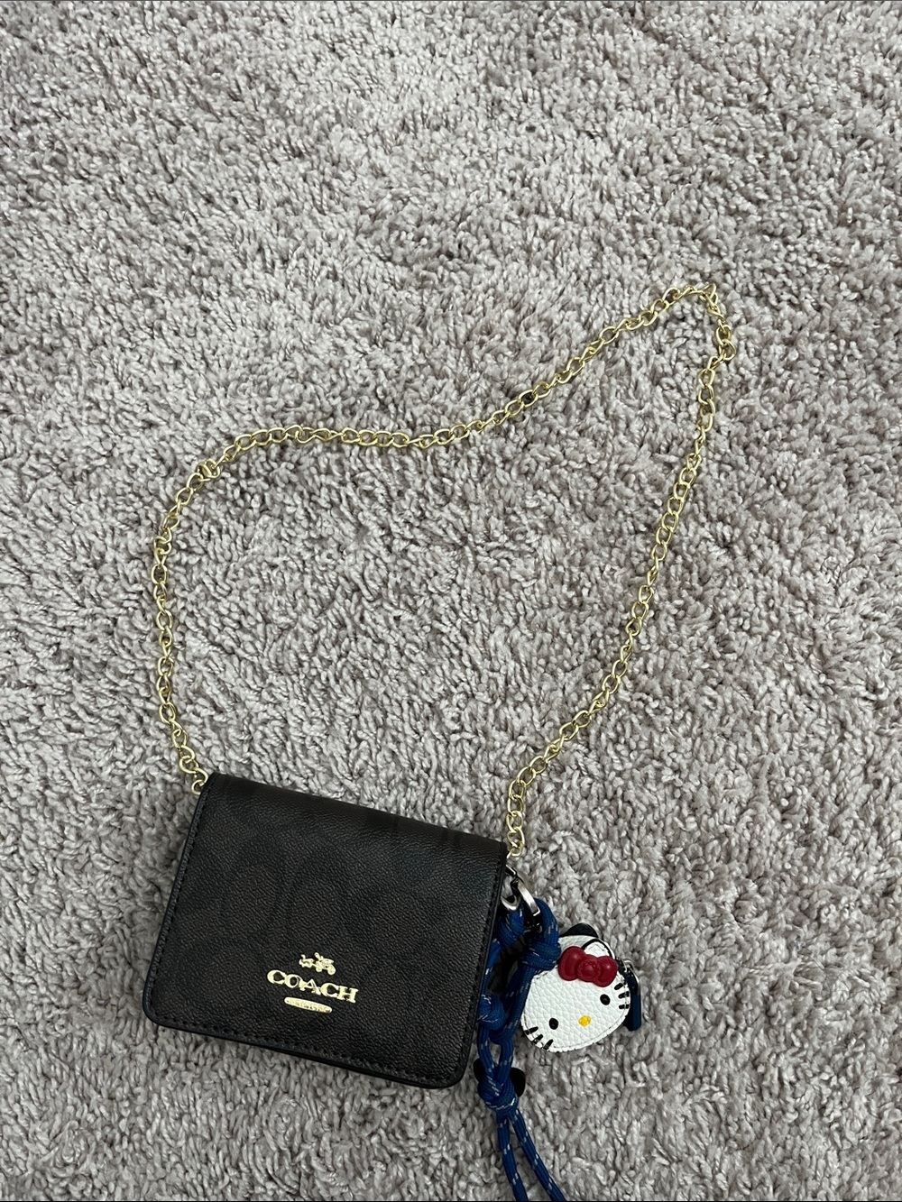 Coach Dark Brown Leather Mini Crossbody & Gold Chain/ Silver Hello kitty chain